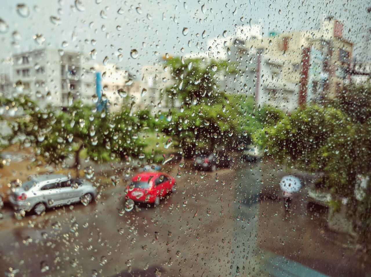 WhatsApp-Image-20160518